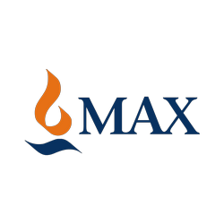 Max Group Logo